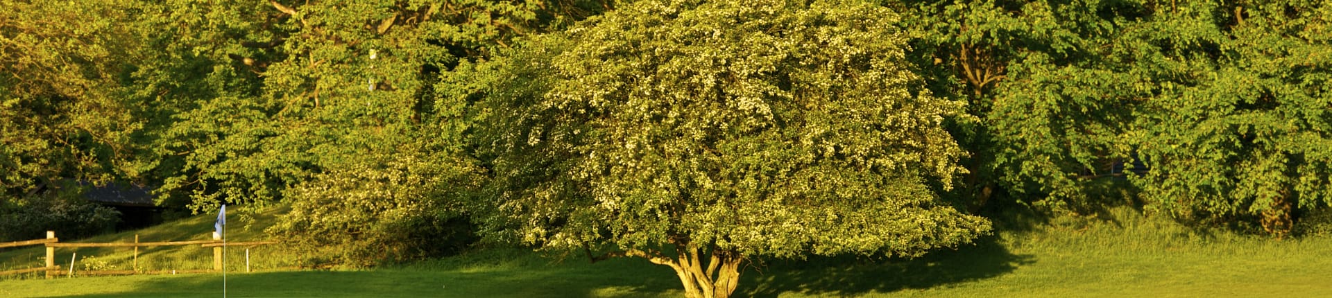 DSC_3449 - 2012-05-24 at 05-47-24