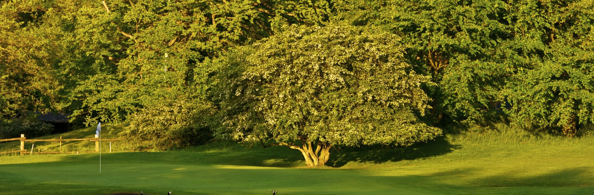 DSC_3449 - 2012-05-24 at 05-47-24